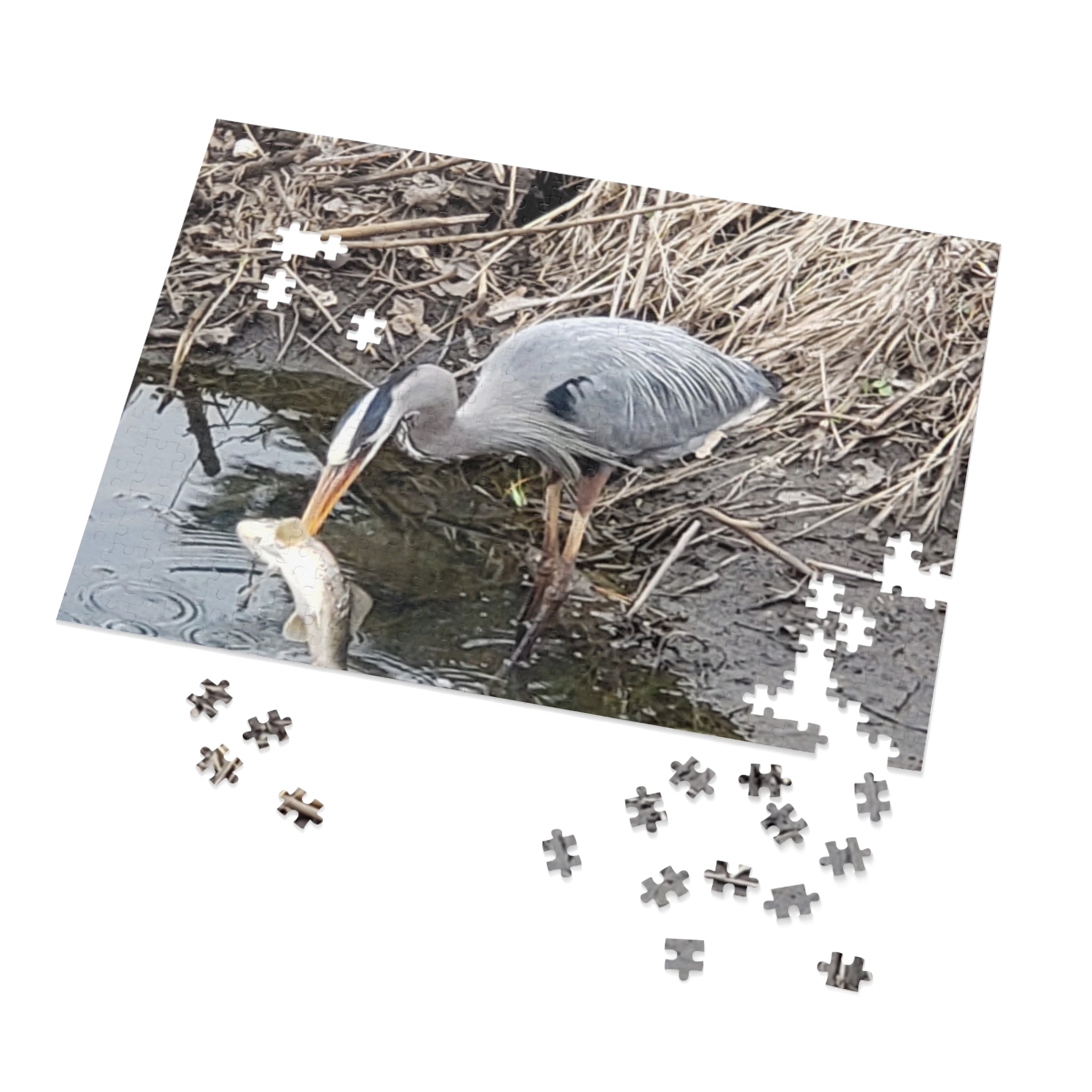 Jigsaw Puzzle with Tin:  Caught One