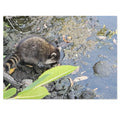 Jigsaw Puzzle with Tin:  Stop for a Quick Drink