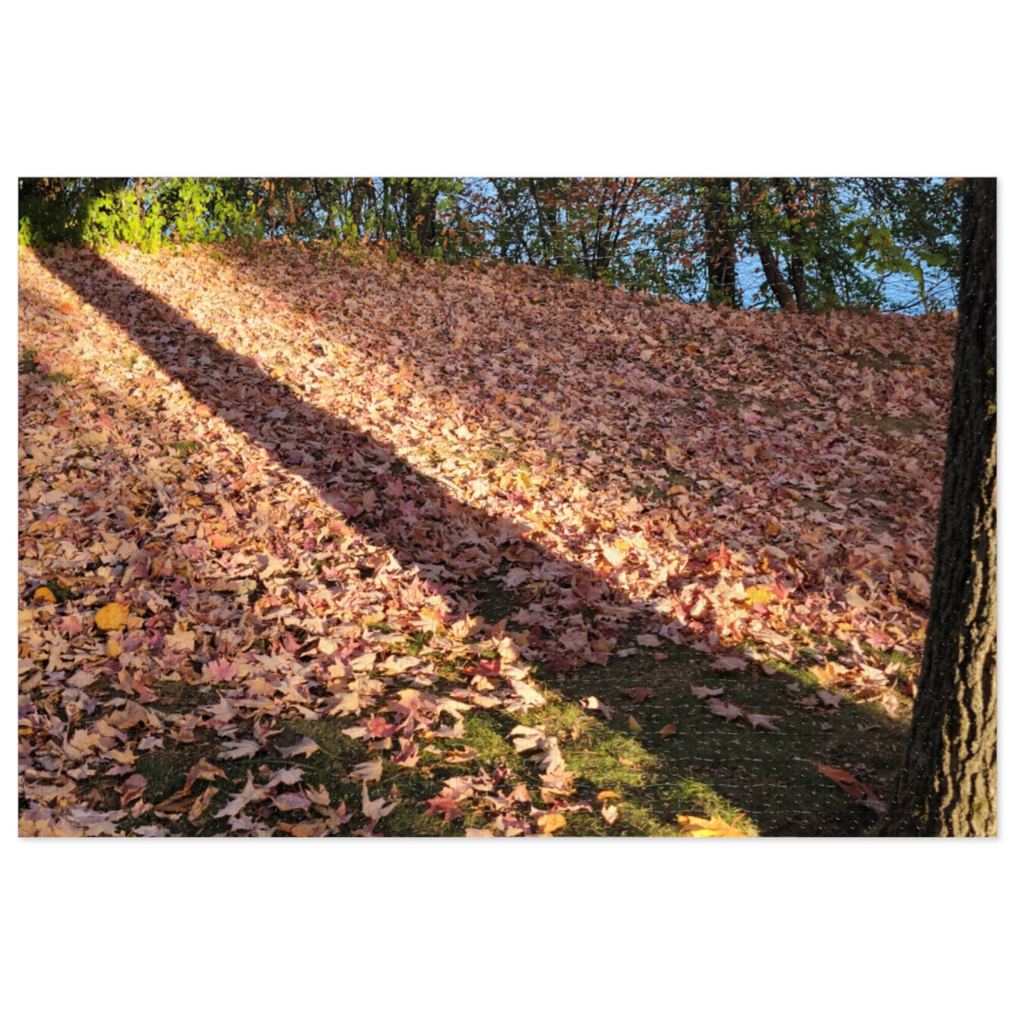 Jigsaw Puzzle with Tin:  Autumn Shadow