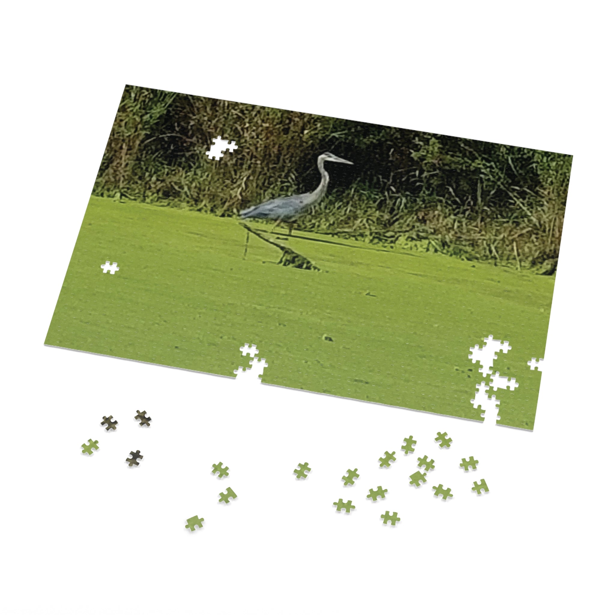 Jigsaw Puzzle with Tin:  Tip Toeing for Fish