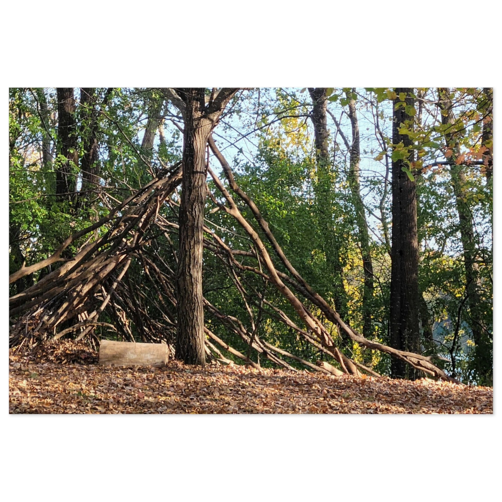 Jigsaw Puzzle with Tin:  Refuge off the Path
