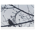 Jigsaw Puzzle with Tin:  Simple Bird