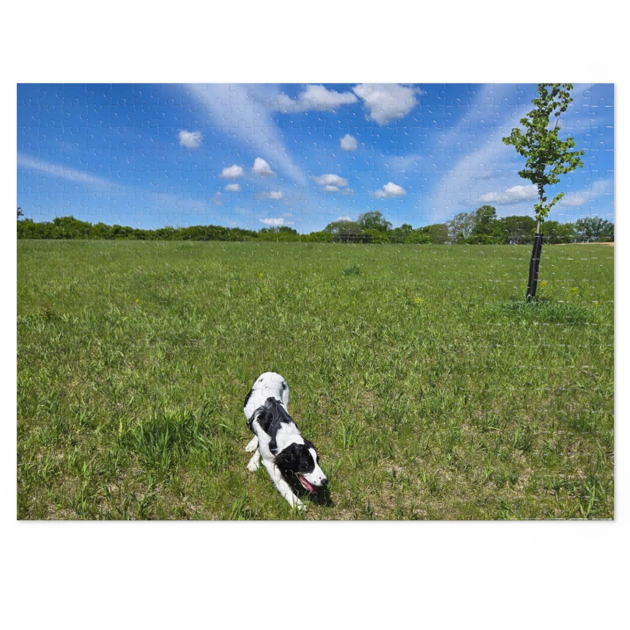 Jigsaw Puzzle with Tin:  Racing the Clouds