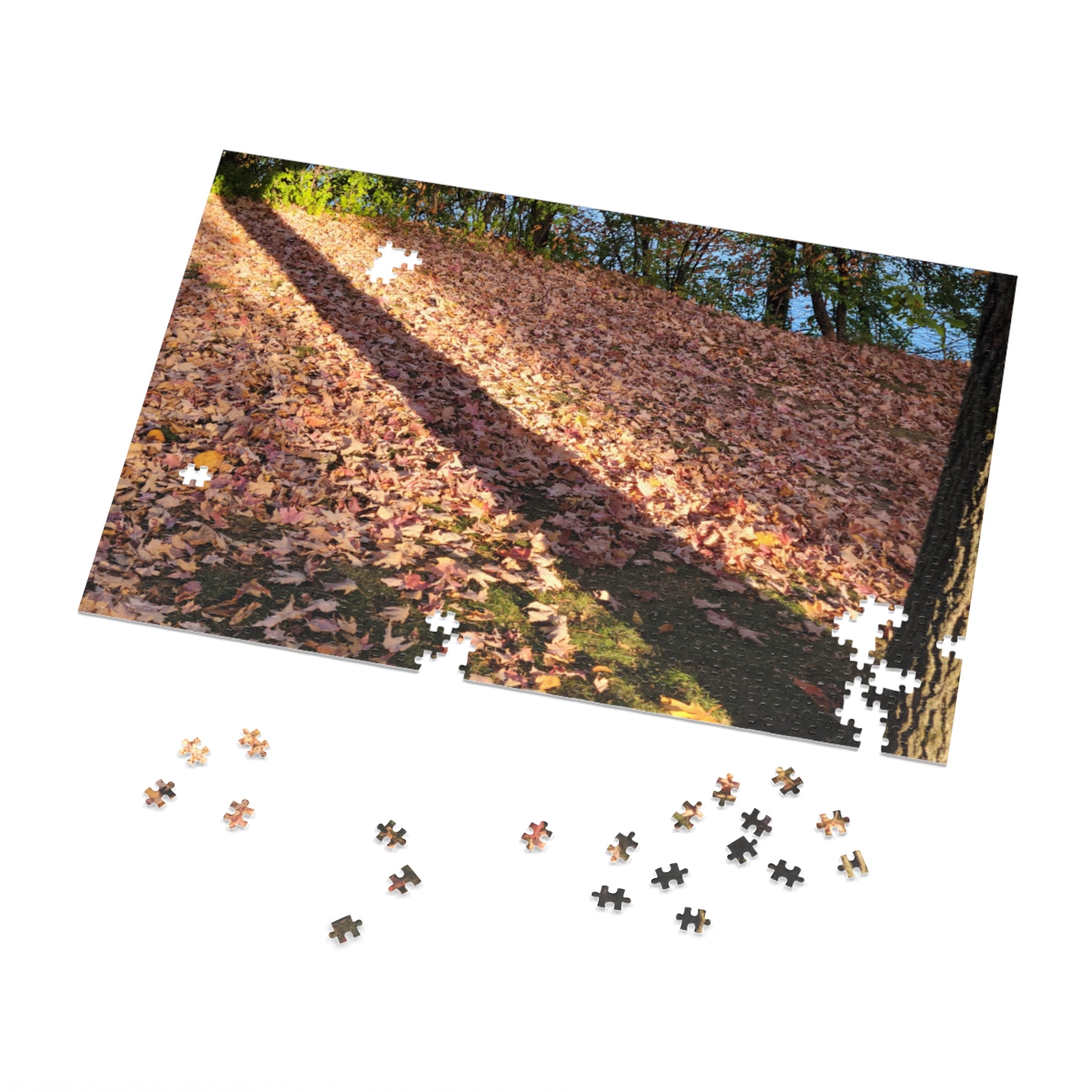 Jigsaw Puzzle with Tin:  Autumn Shadow