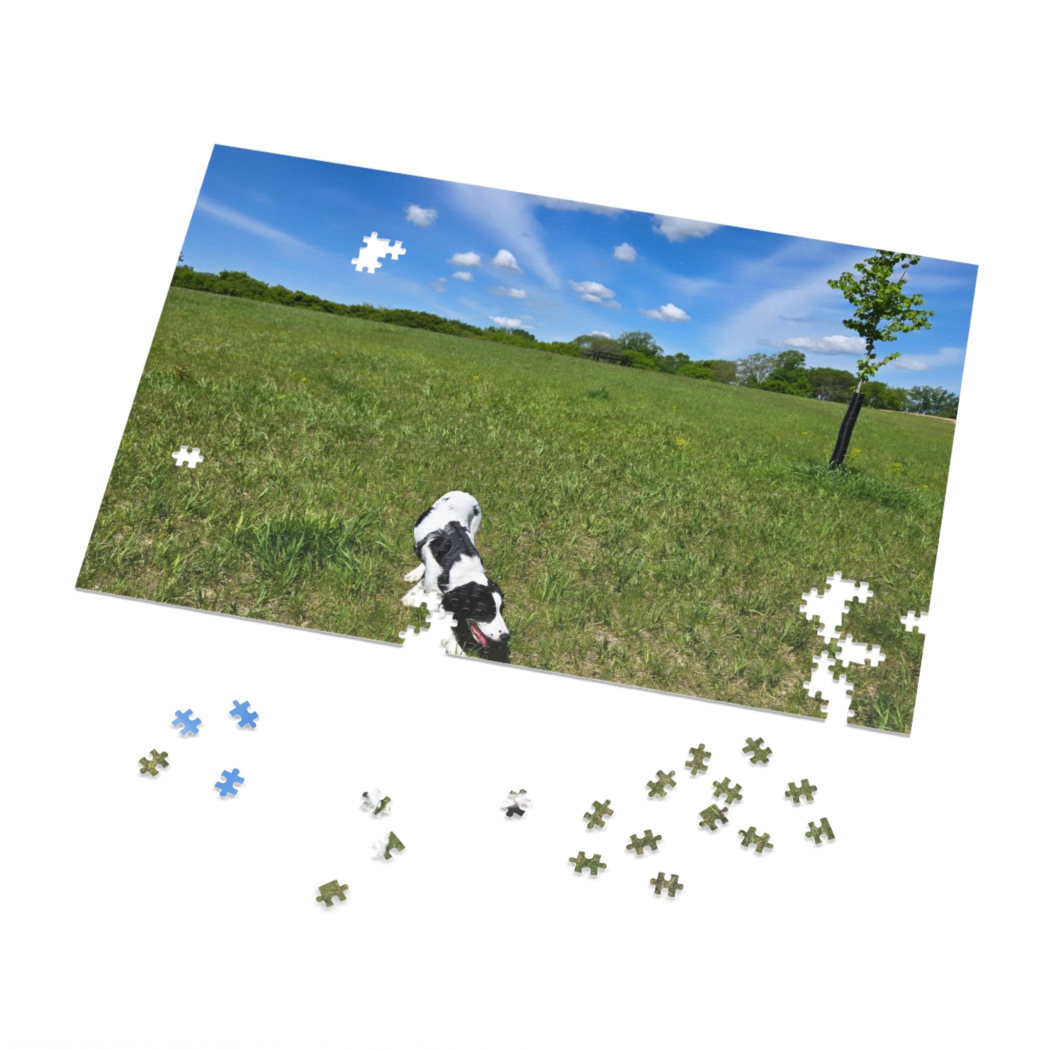 Jigsaw Puzzle with Tin:  Racing the Clouds