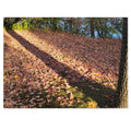 Jigsaw Puzzle with Tin:  Autumn Shadow