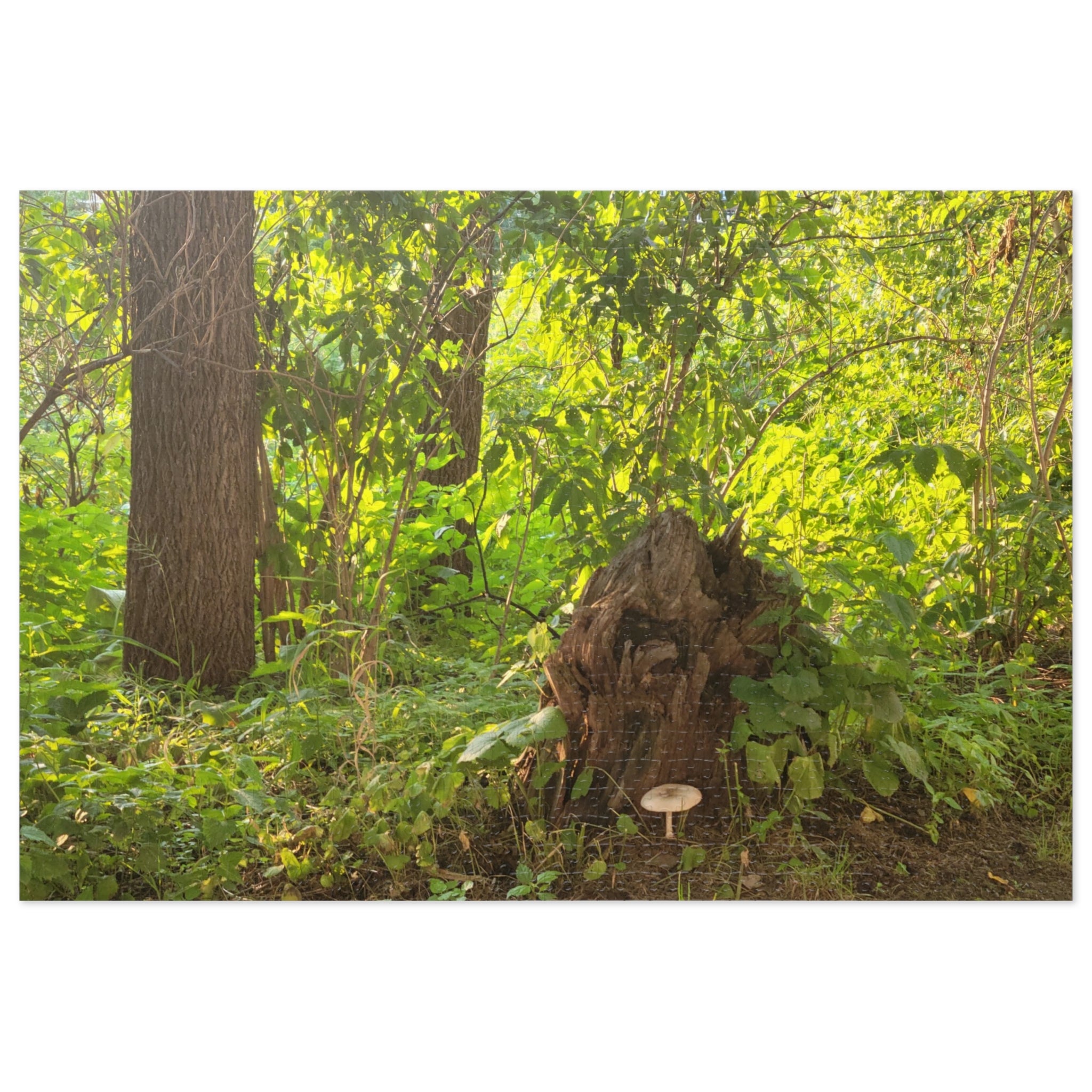 Jigsaw Puzzle with Tin:  Hiking Treasures