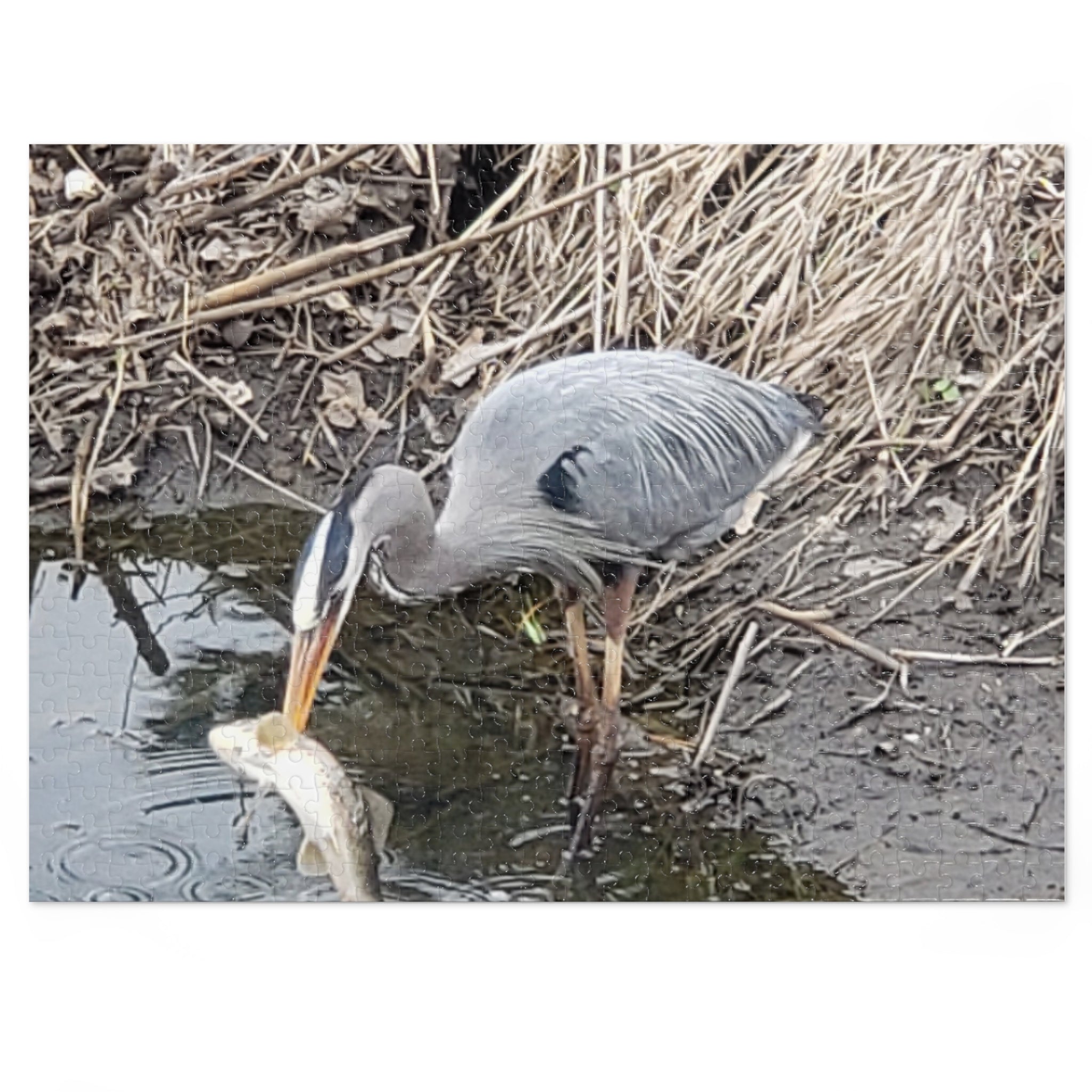 Jigsaw Puzzle with Tin:  Caught One