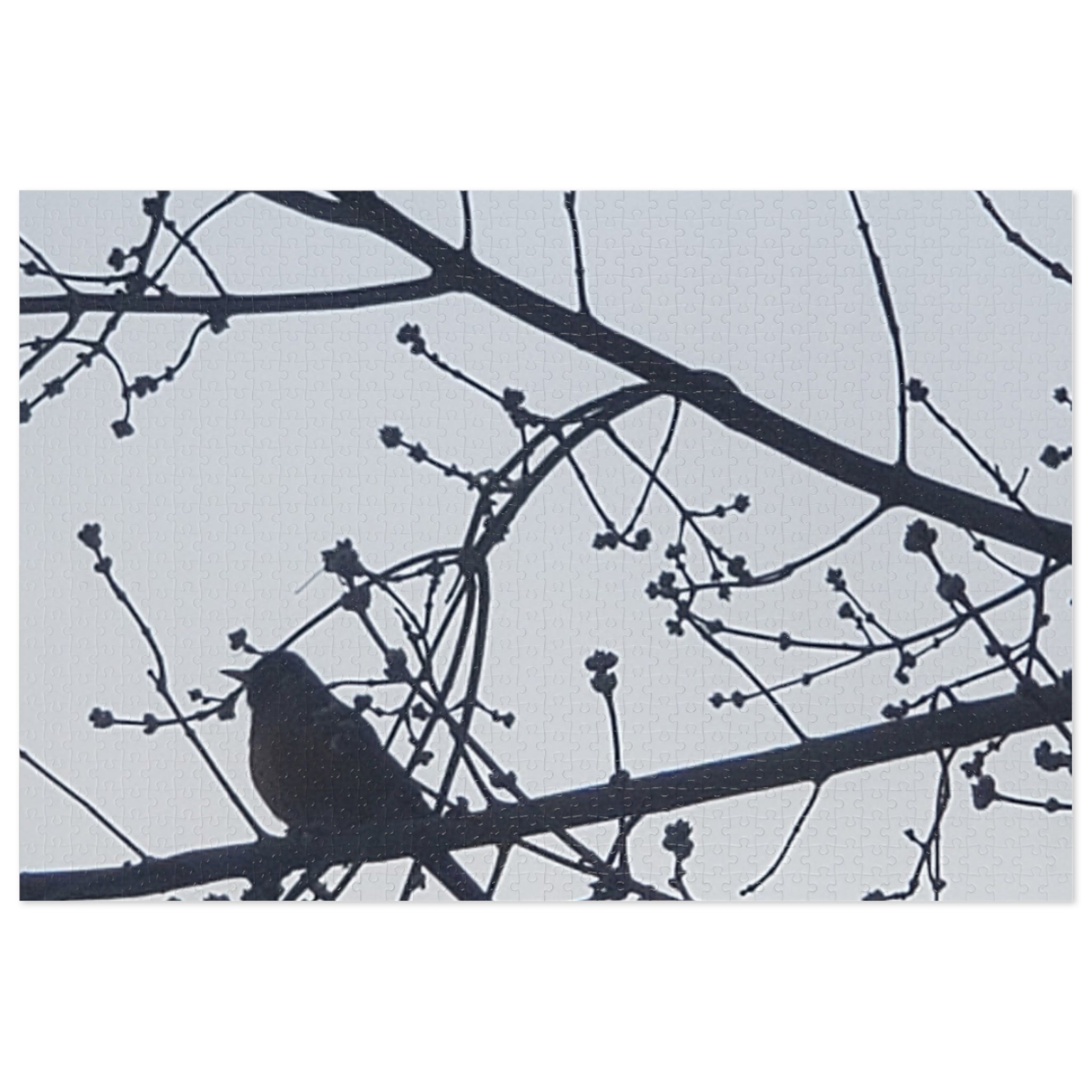 Jigsaw Puzzle with Tin:  Simple Bird