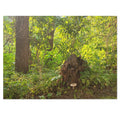 Jigsaw Puzzle with Tin:  Hiking Treasures