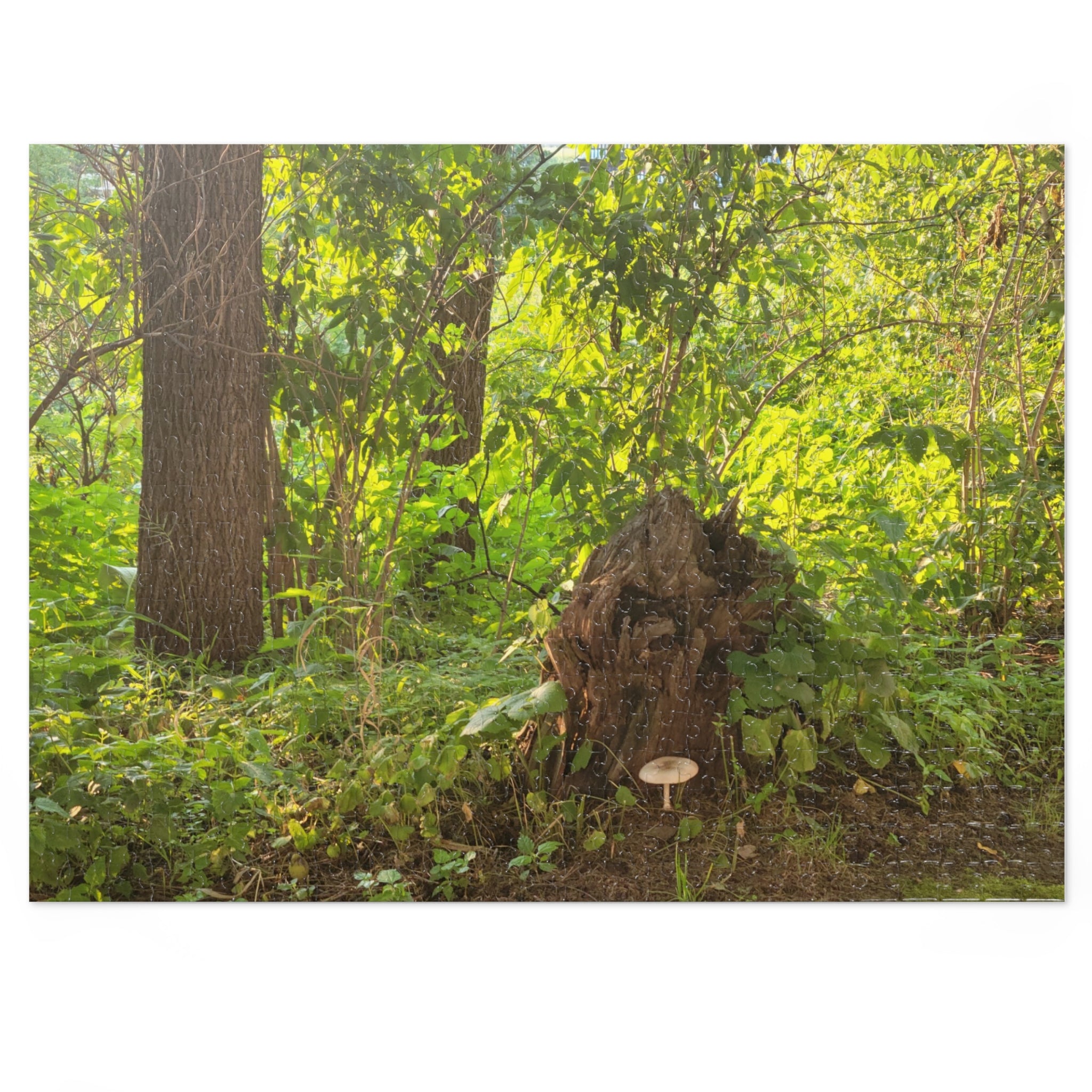 Jigsaw Puzzle with Tin:  Hiking Treasures