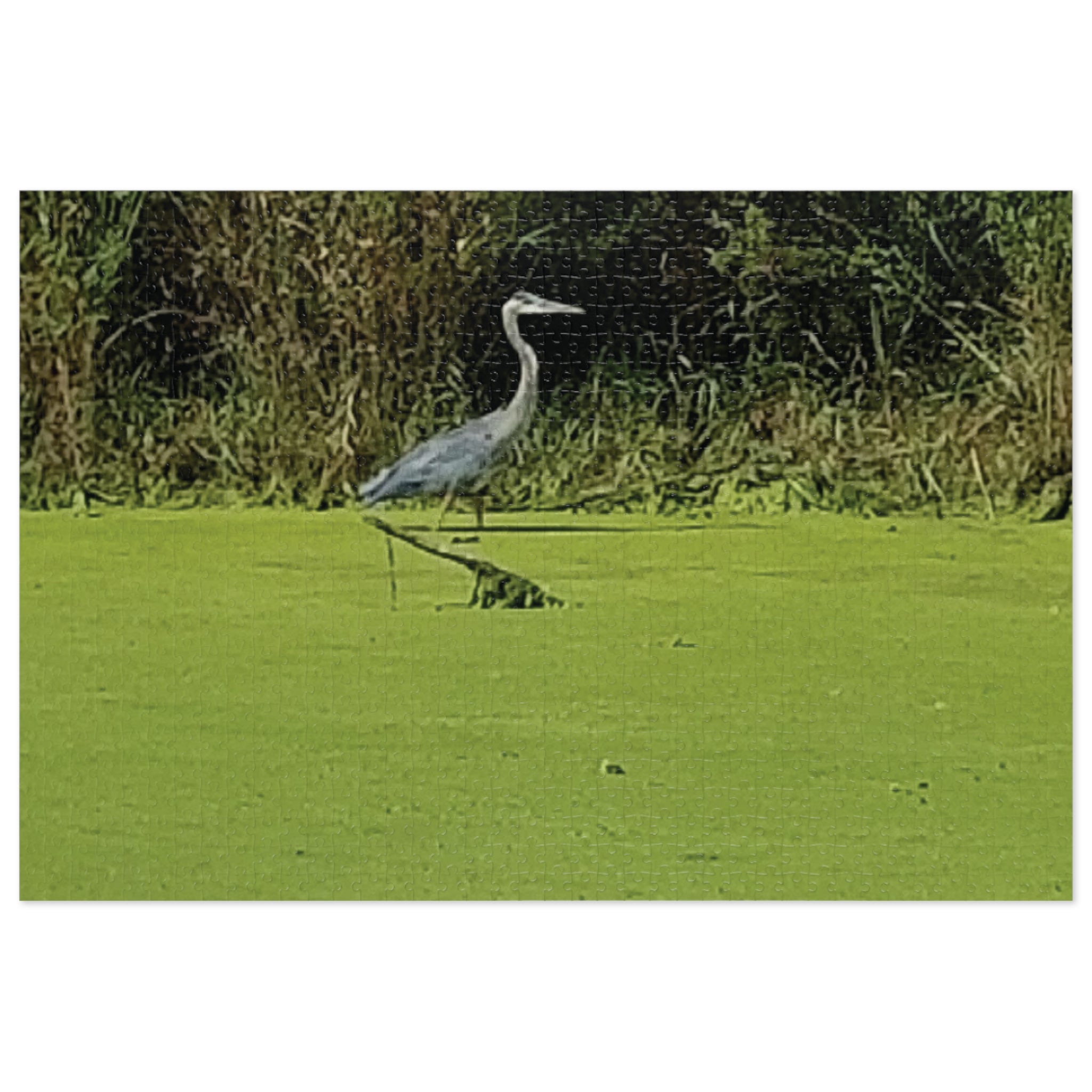Jigsaw Puzzle with Tin:  Tip Toeing for Fish