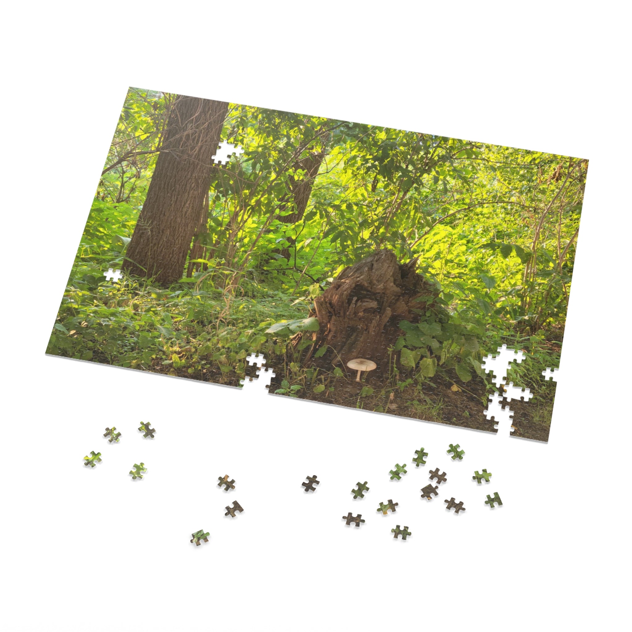Jigsaw Puzzle with Tin:  Hiking Treasures